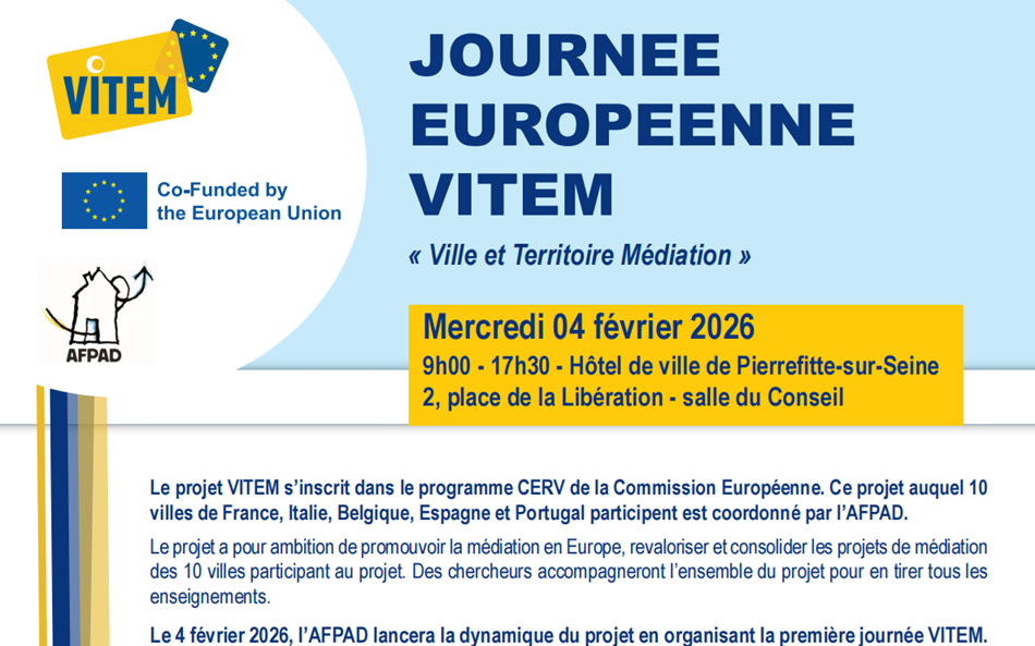 Flyer lancement du projet VITEM